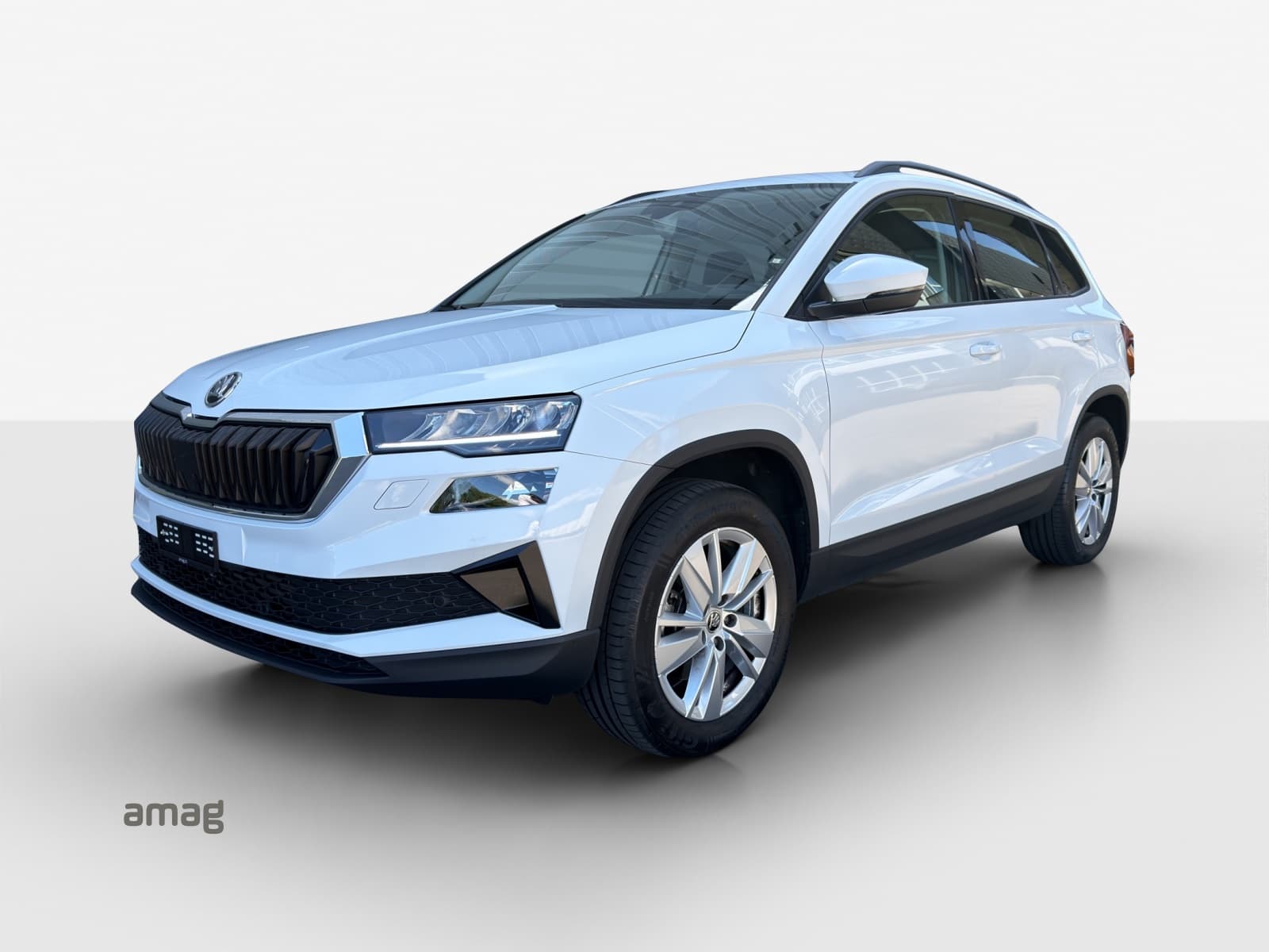 Škoda Karoq Leasing & Auto-Abo Angebot