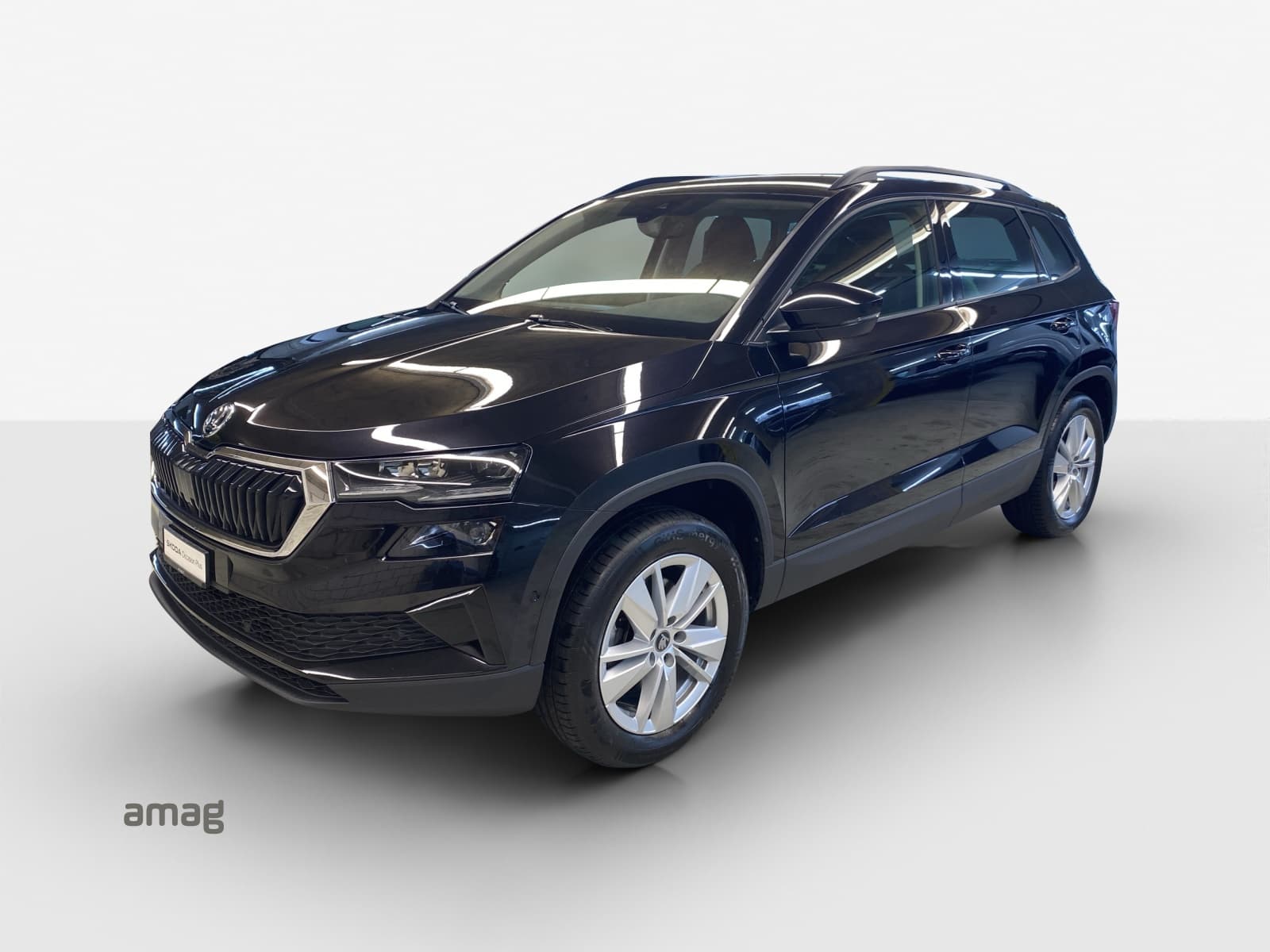 Škoda Karoq Leasing & Auto-Abo Angebot