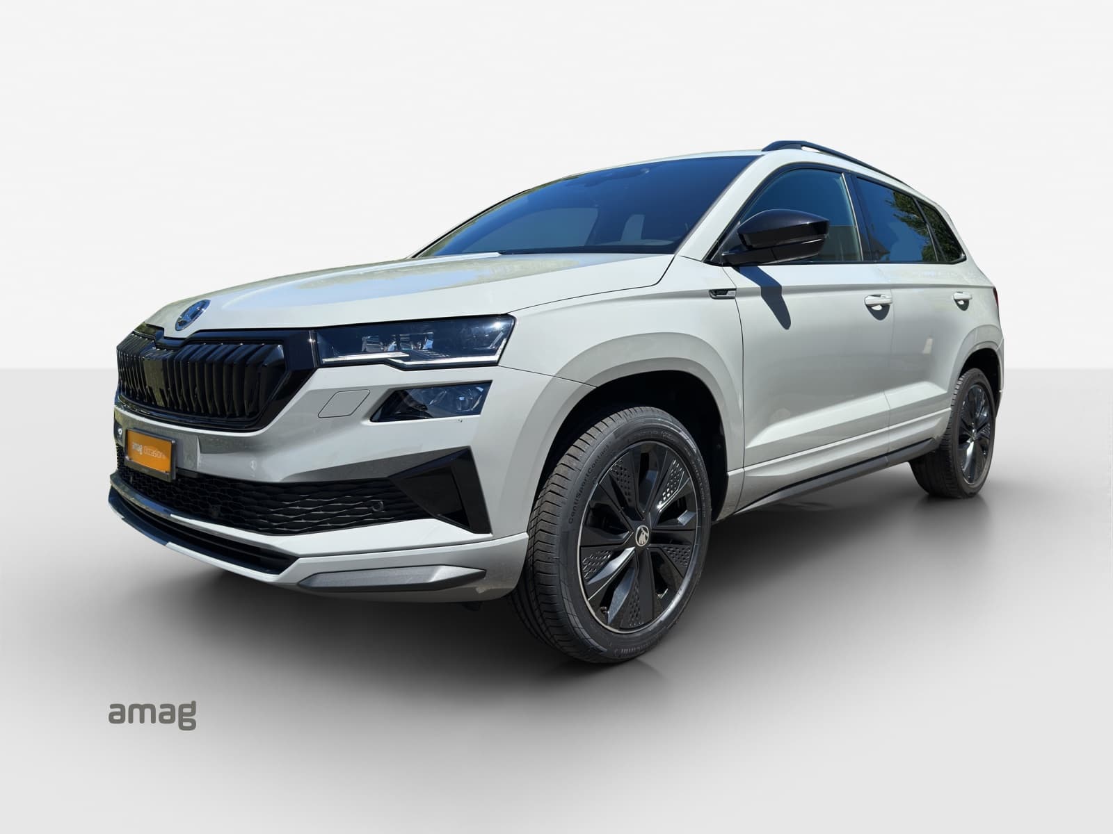 Škoda Karoq Leasing & Auto-Abo Angebot