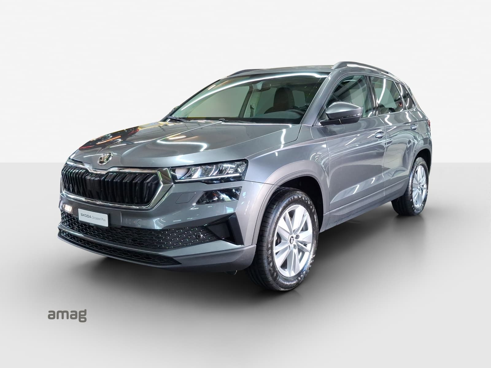 Škoda Karoq Leasing & Auto-Abo Angebot