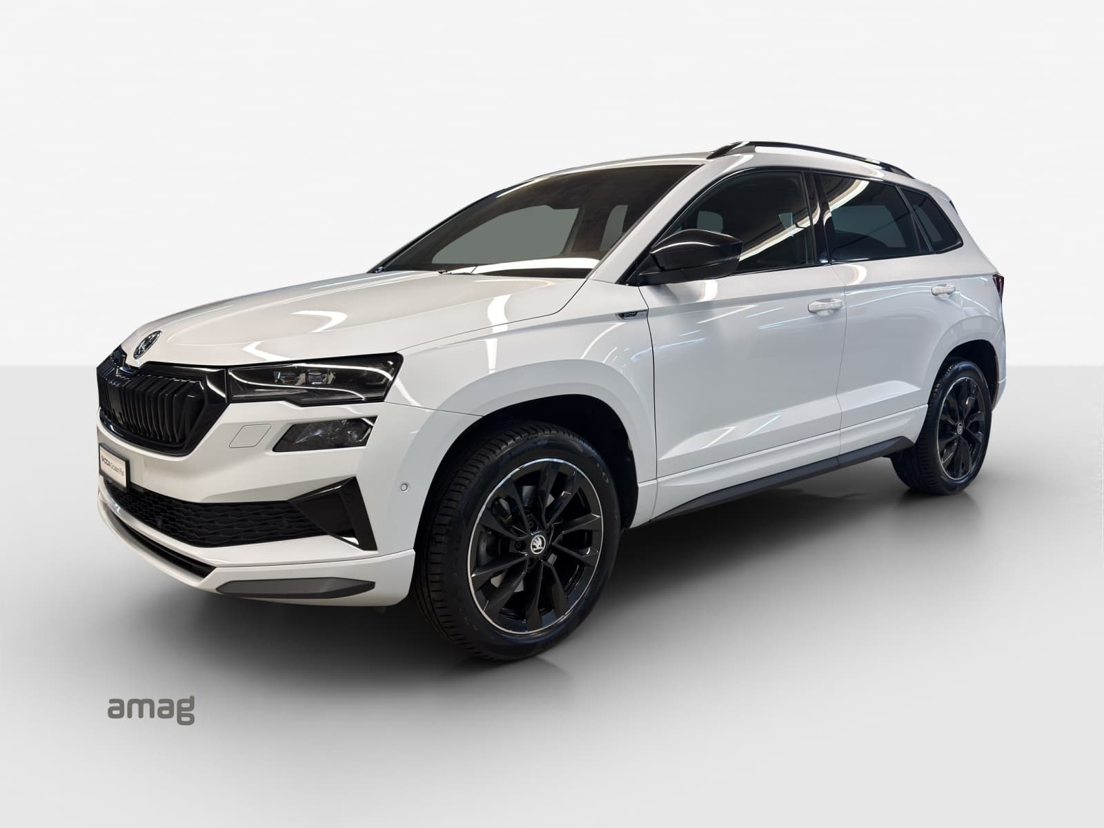 Škoda Karoq Leasing & Auto-Abo Angebot