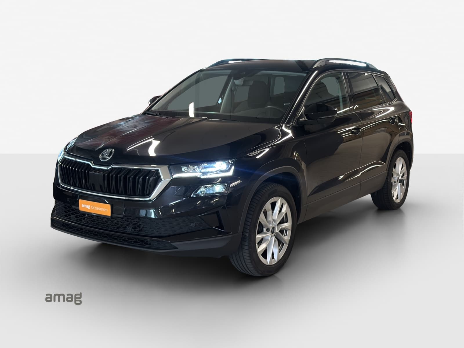 Škoda Karoq Leasing & Auto-Abo Angebot