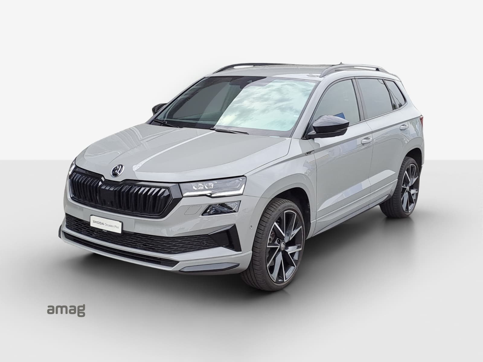 Škoda Karoq Leasing & Auto-Abo Angebot