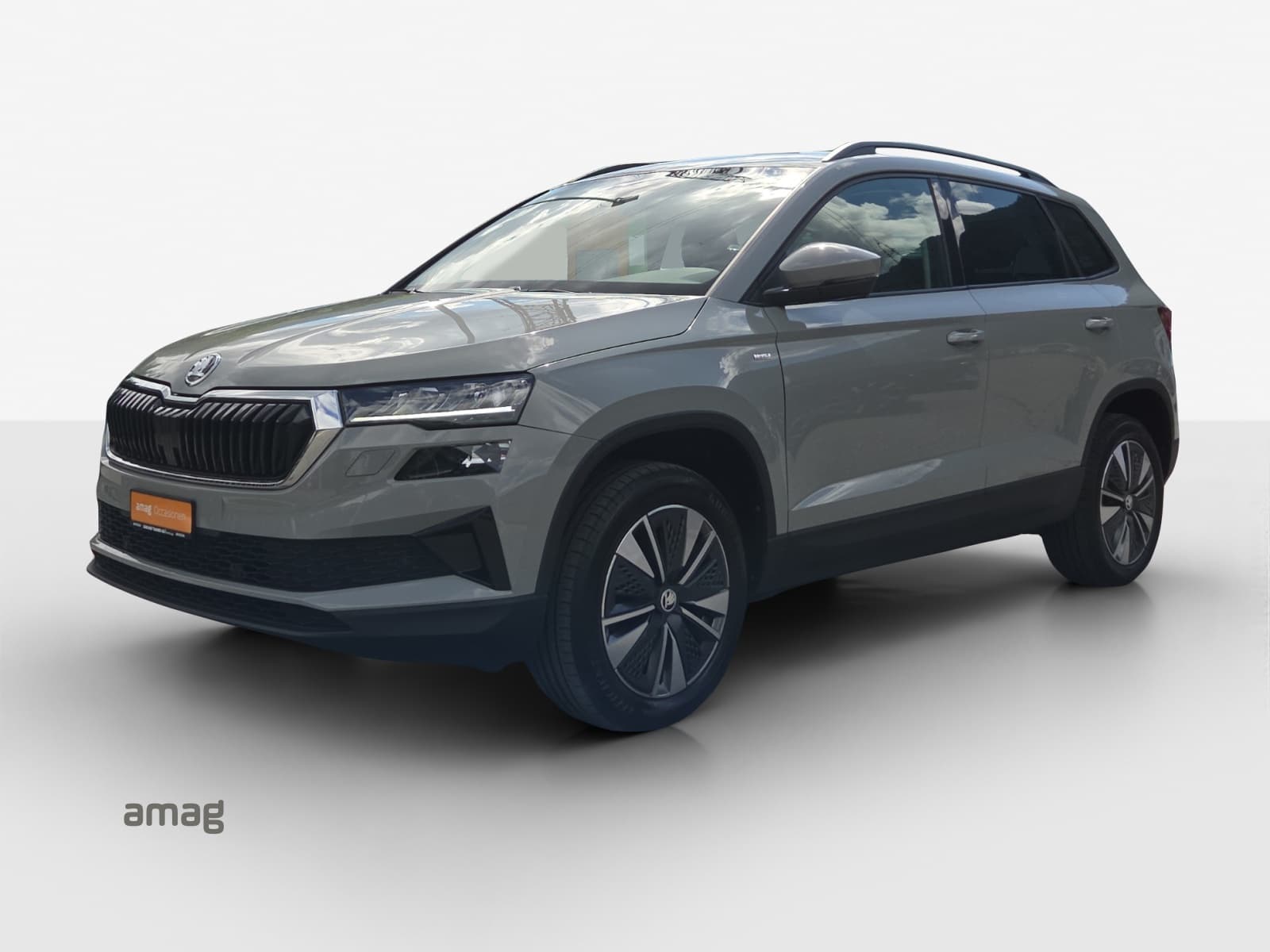 Škoda Karoq Leasing & Auto-Abo Angebot