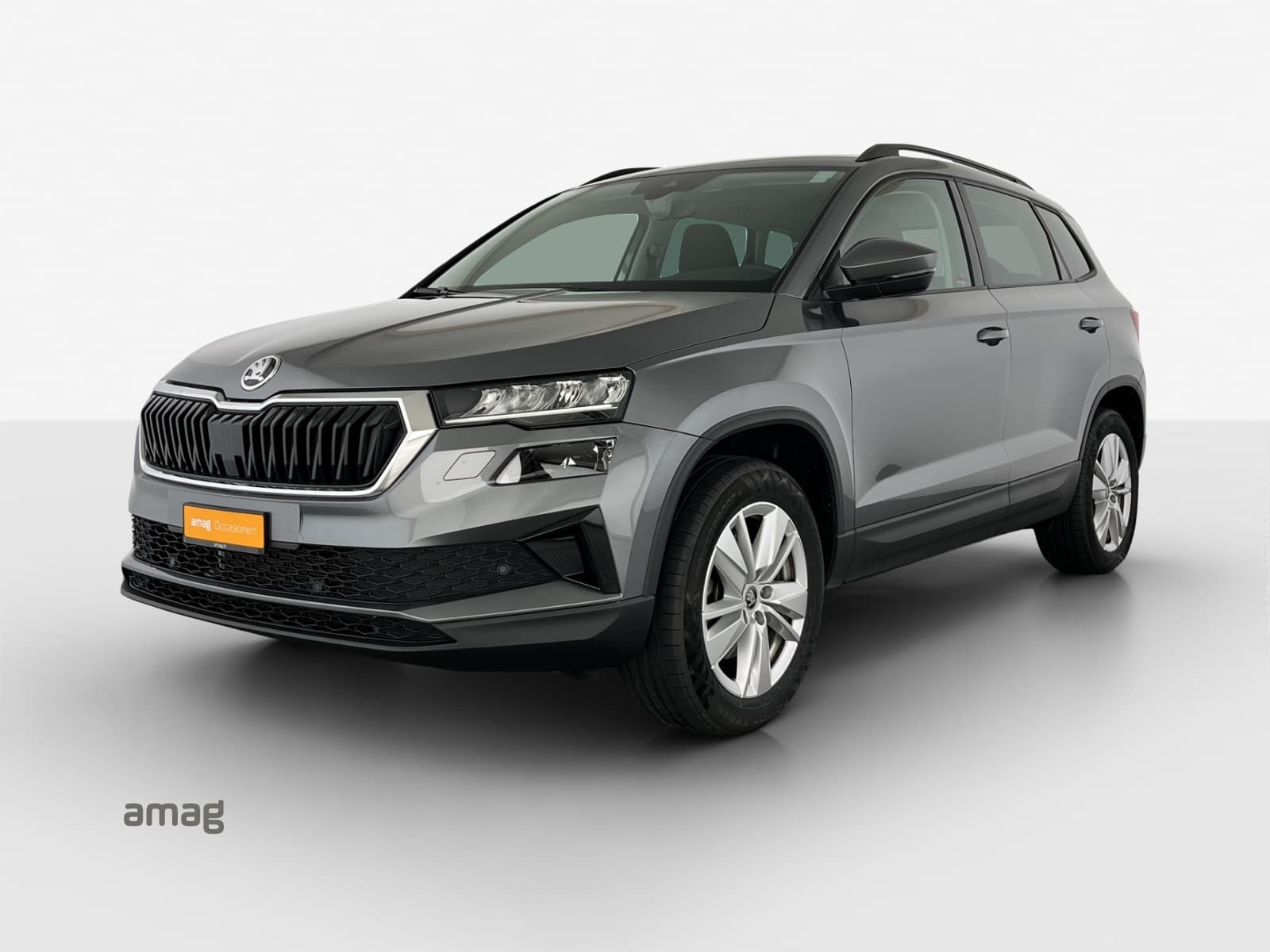 Škoda Karoq Leasing & Auto-Abo Angebot