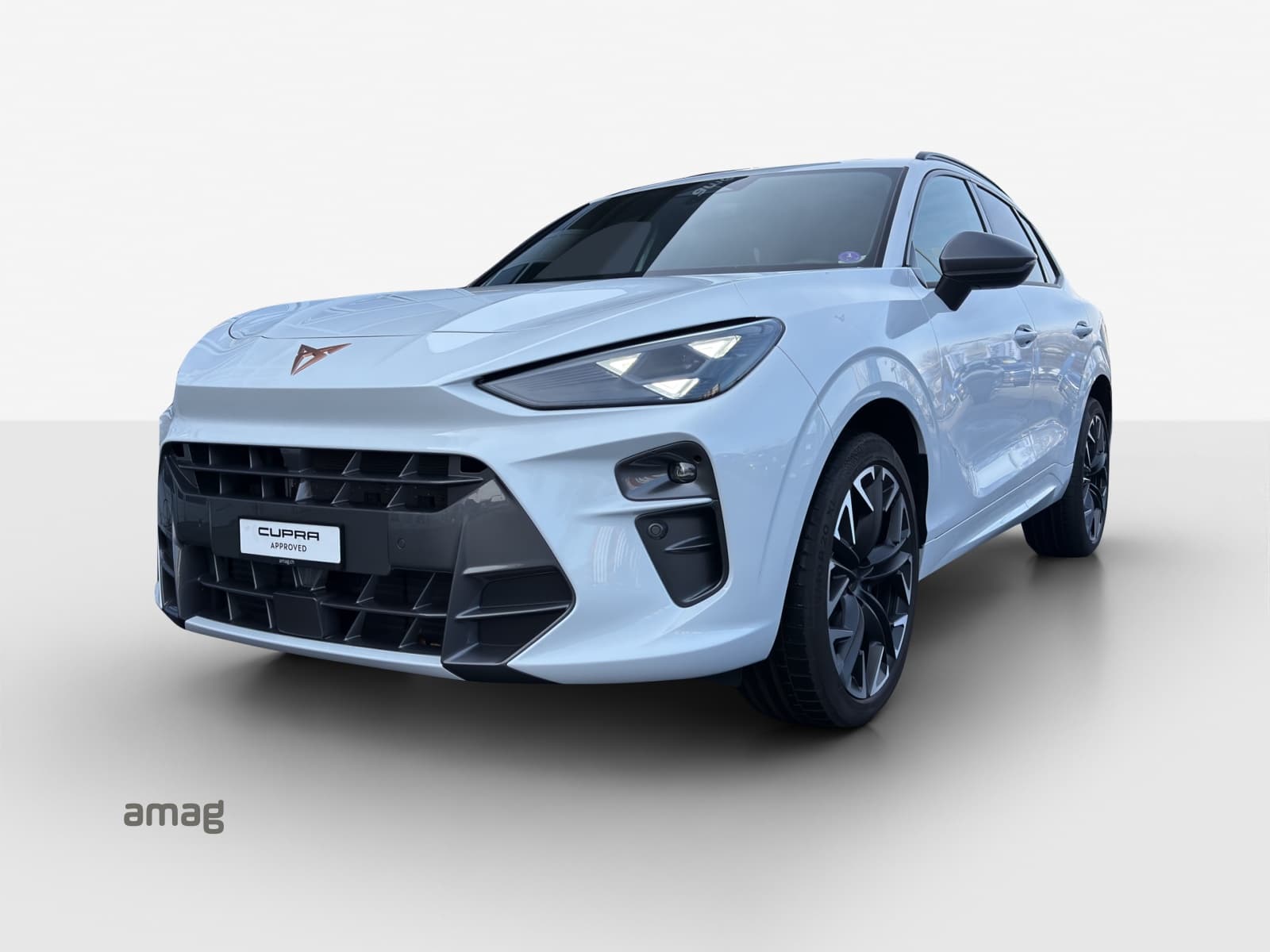 Cupra Terramar Leasing & Auto-Abo Angebot