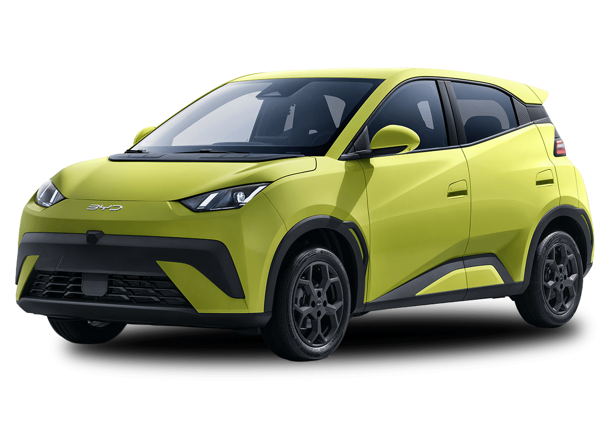 BYD Dolphin Surf Leasing & Auto-Abo Angebot